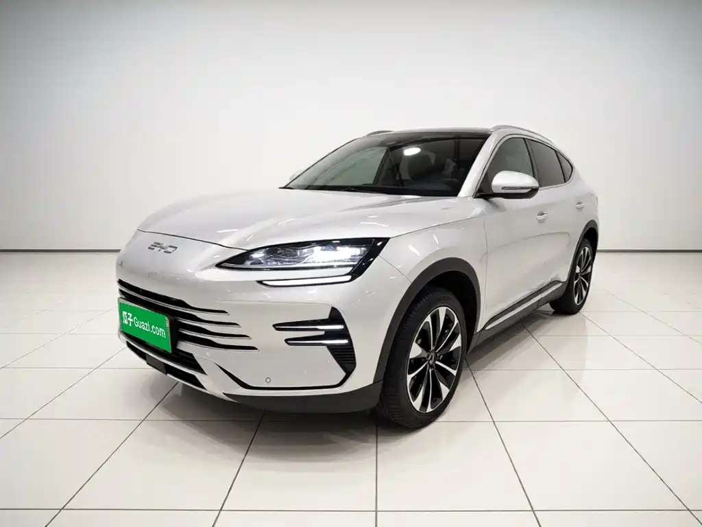 BYD PLUS New Energy
