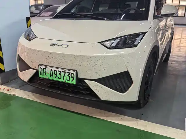 2026 BYD Seagull