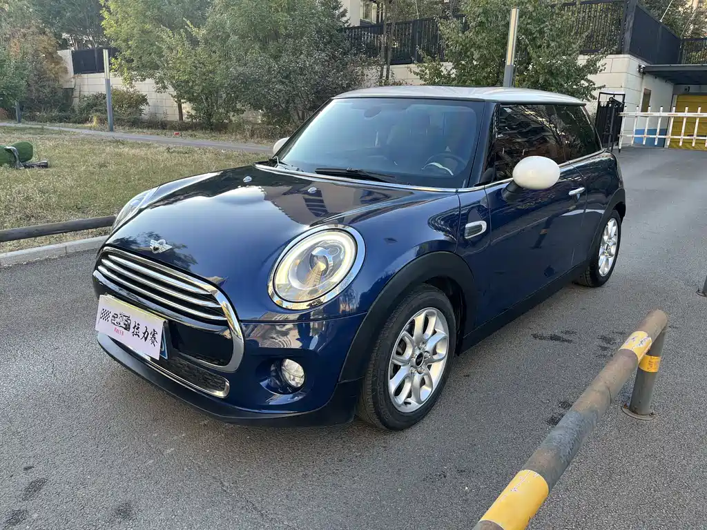 Mini Mini 2015
