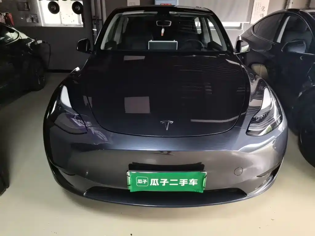 Tesla Model Y — миниатюра 3