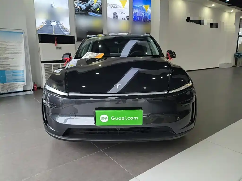 Tesla Model Y — миниатюра 3