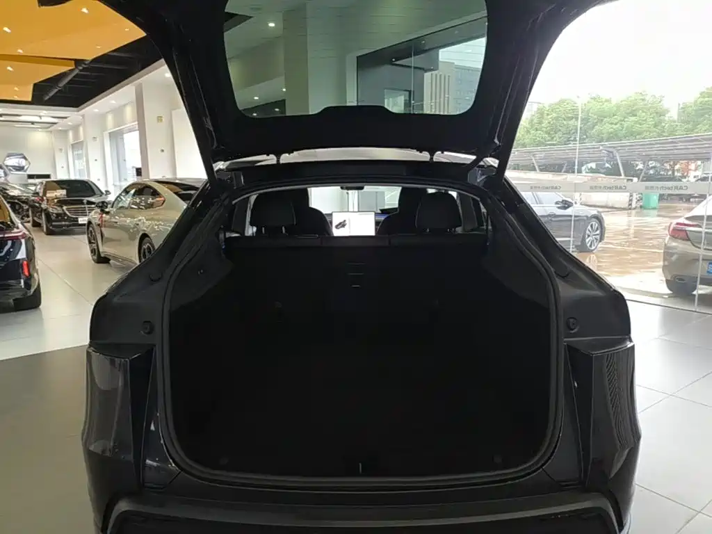 Tesla Model Y — миниатюра 19