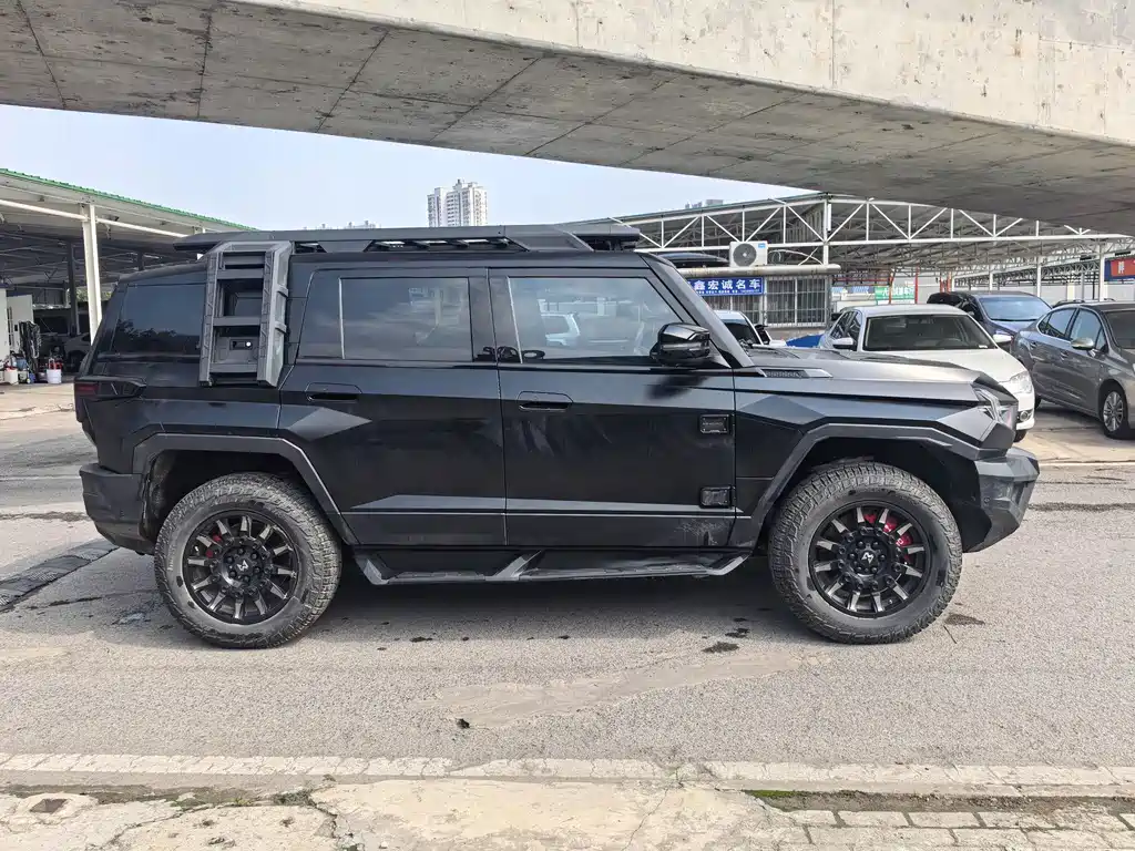 Mengshi Mengshi 917 — миниатюра 5