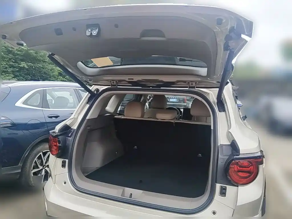 Haval Big Dog PLUS — миниатюра 16