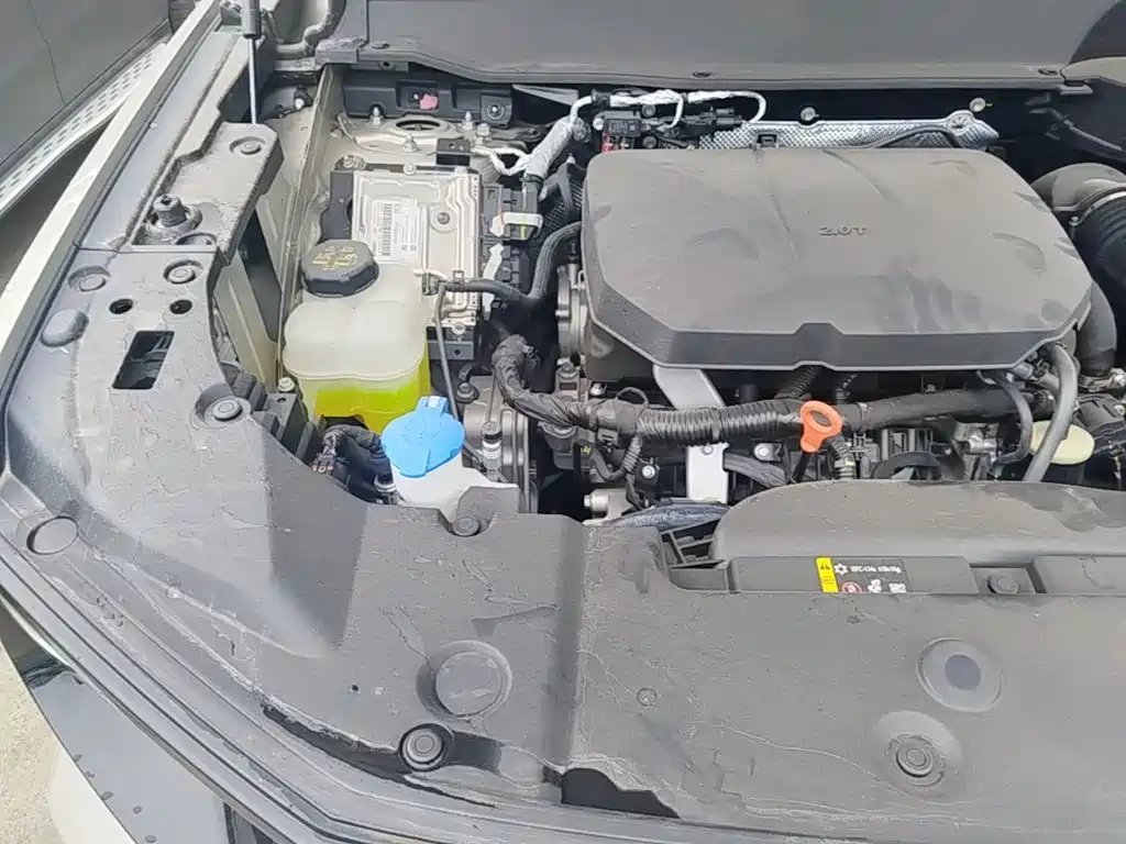Haval Big Dog PLUS — миниатюра 22