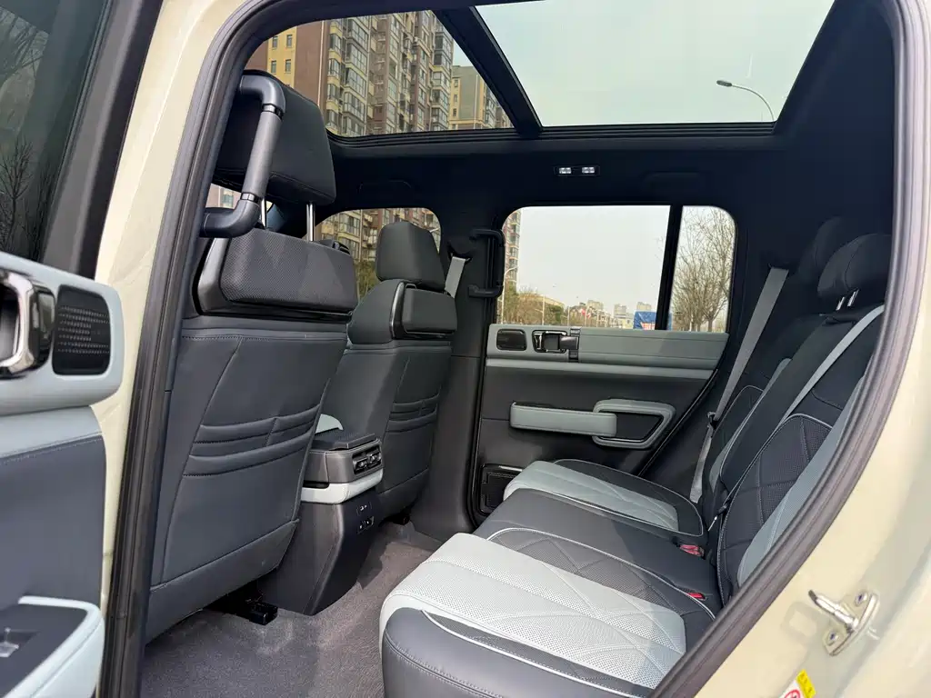 FANG CHENG BAO LEOPARD 5