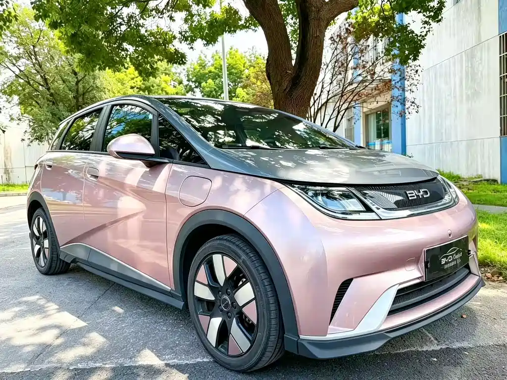 BYD Dolphin — миниатюра 4
