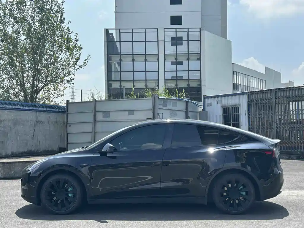 Tesla Model Y — миниатюра 3