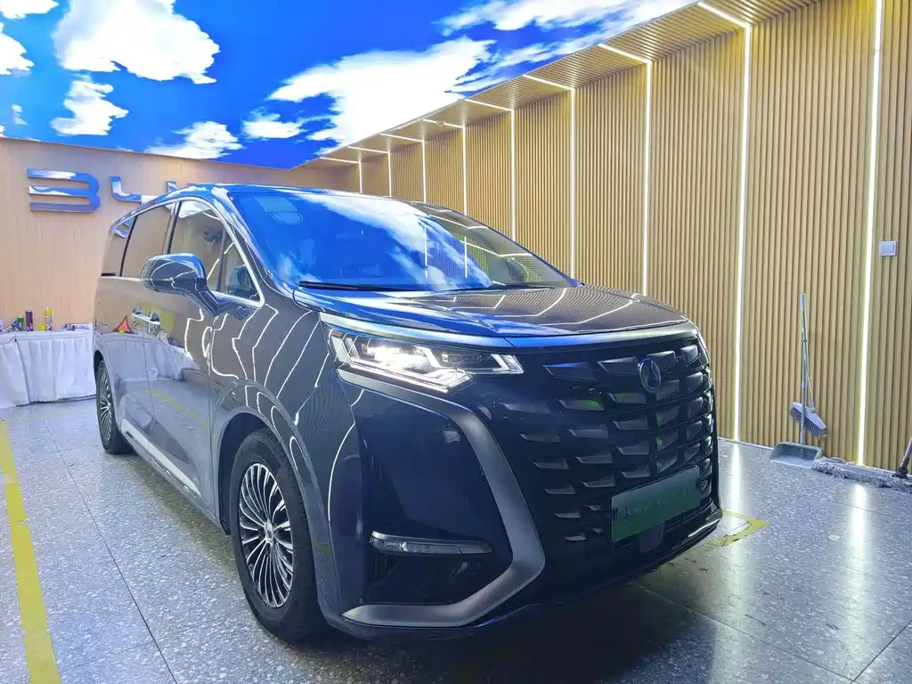 Denza Denza D9 — миниатюра 4