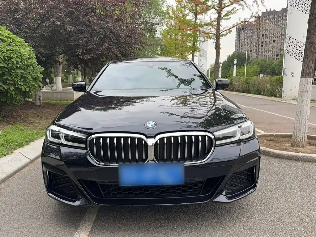 BMW 5 Series 5 2022 530Li xDrive M Sport