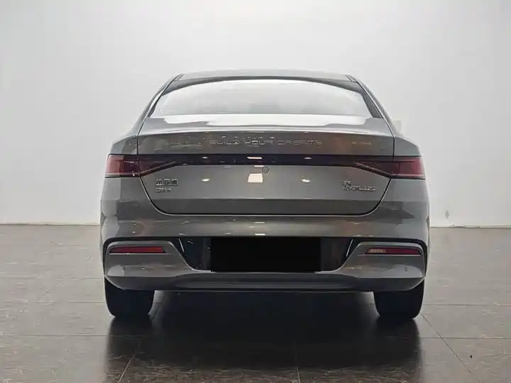 BYD Qin Plus PLUS 2024 DM-i 55KM