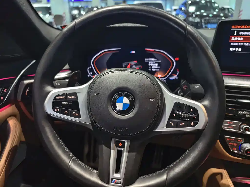 BMW 5 Series (Import) — миниатюра 10