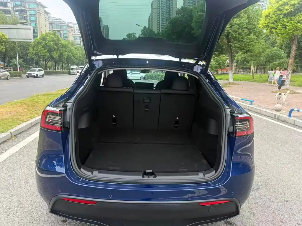 Tesla Model Y — миниатюра 12
