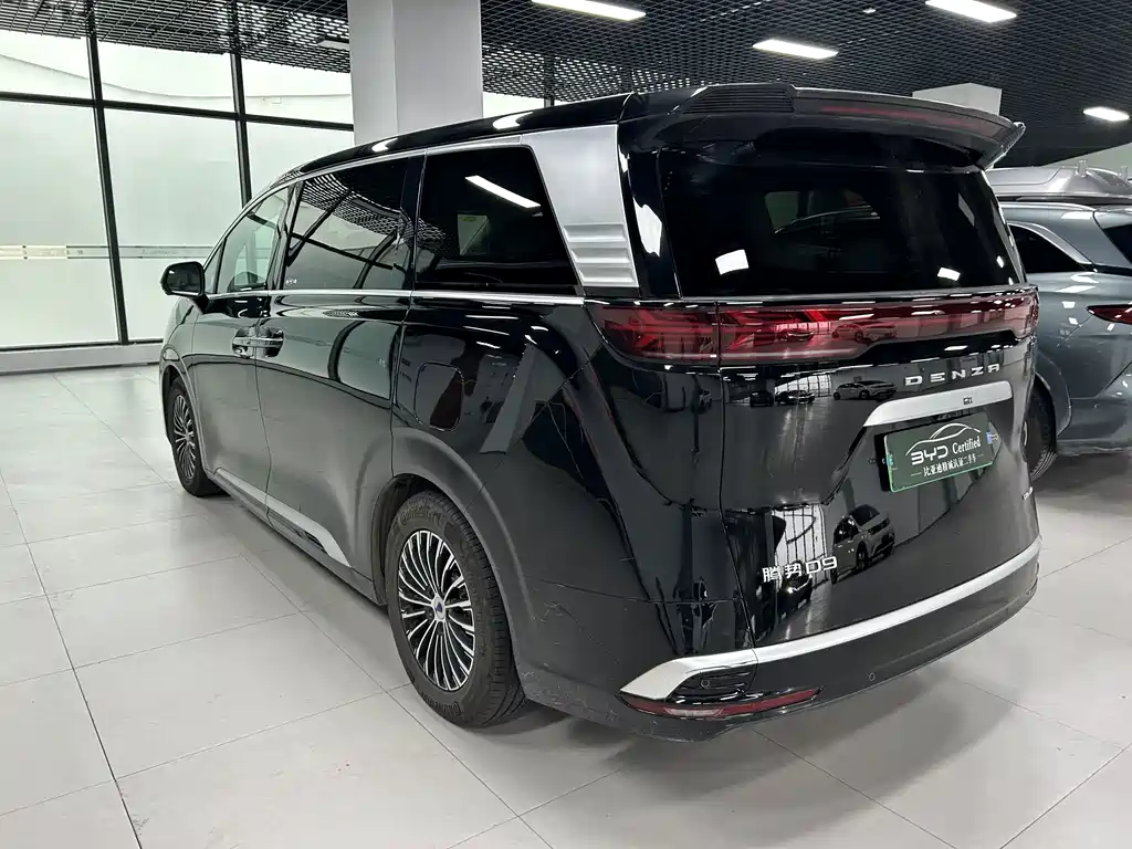 Denza Denza D9 — миниатюра 5