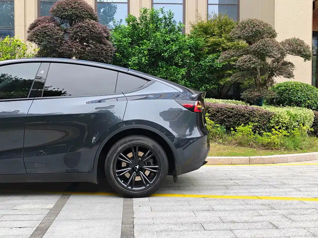 Tesla Model Y — миниатюра 5