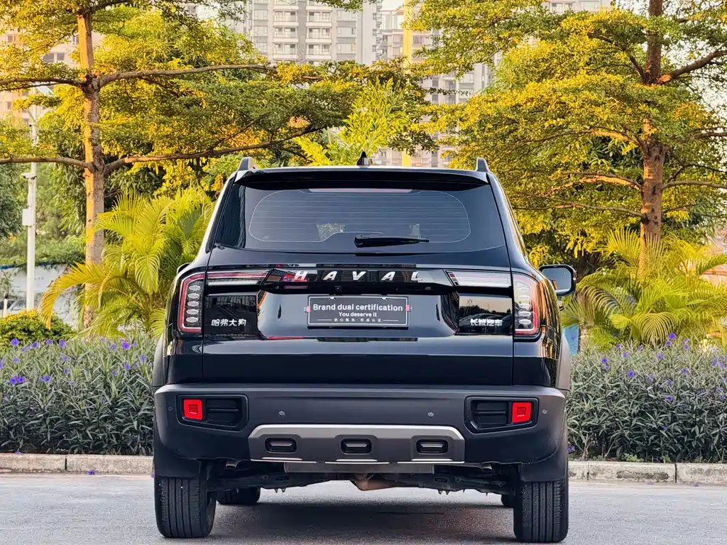 HAVAL BIG DOG