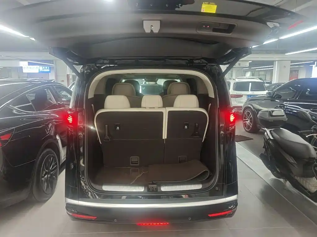 Denza Denza D9 — миниатюра 19