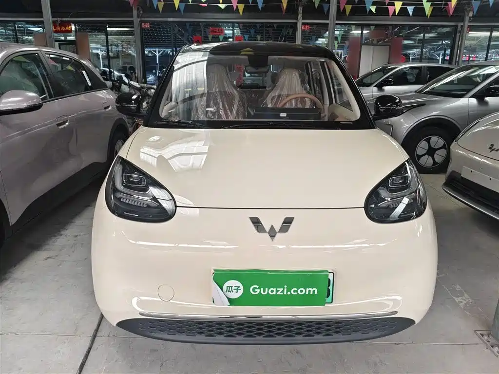 Wuling Binguo 2025 333km Enjoy