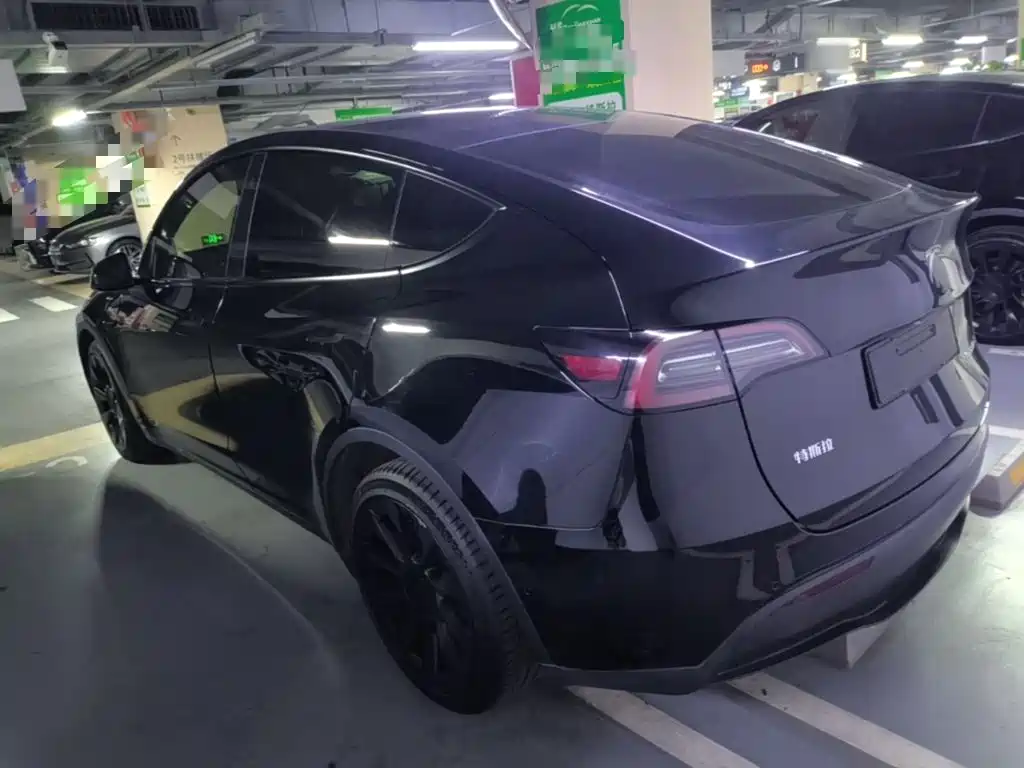 Tesla Model Y — миниатюра 5