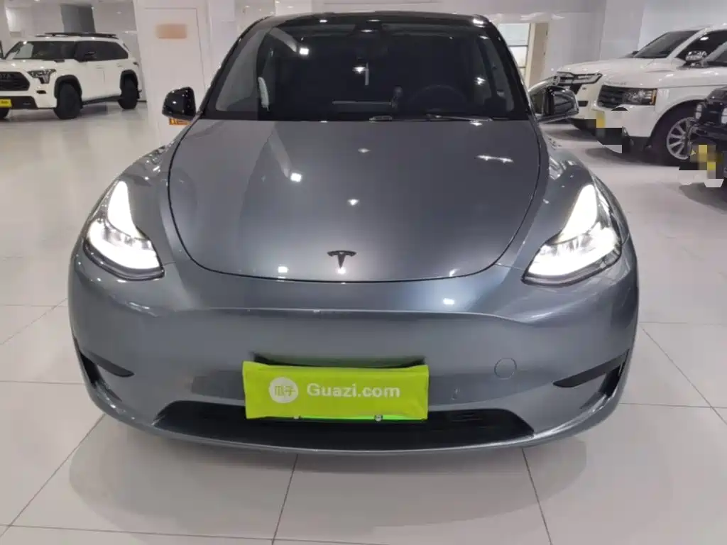 Tesla Model Y — миниатюра 3