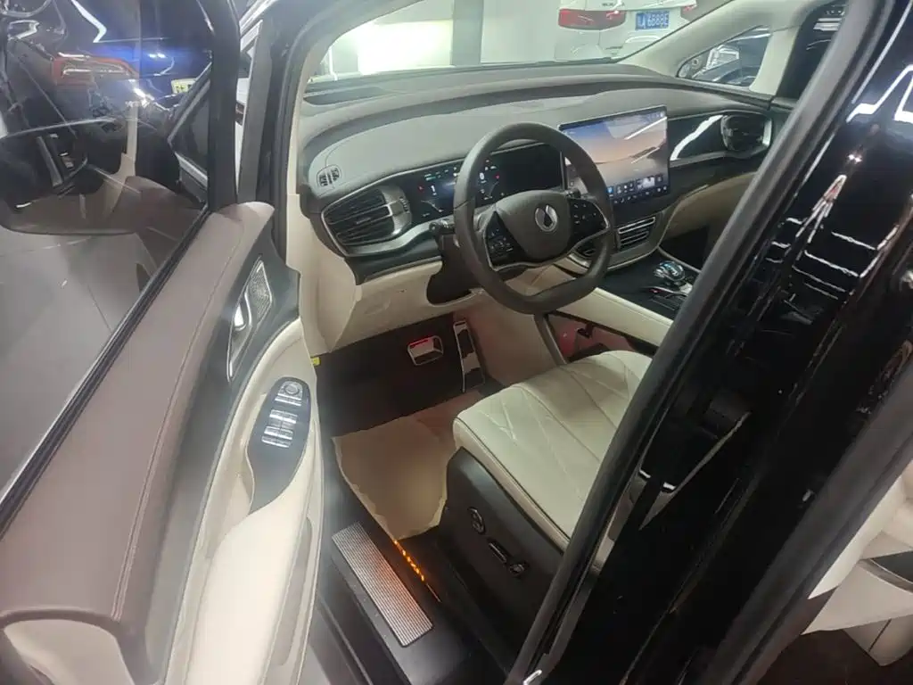 Denza Denza D9 — миниатюра 16