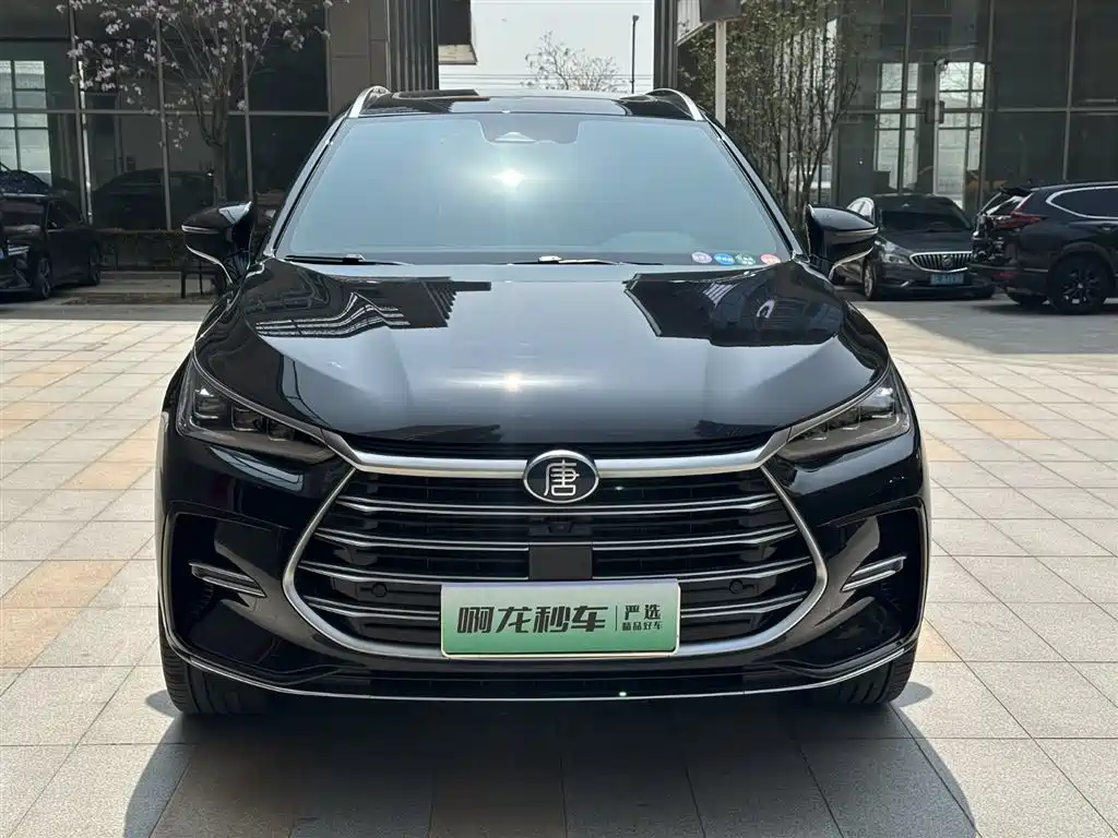 BYD TANGXIN ENERGY