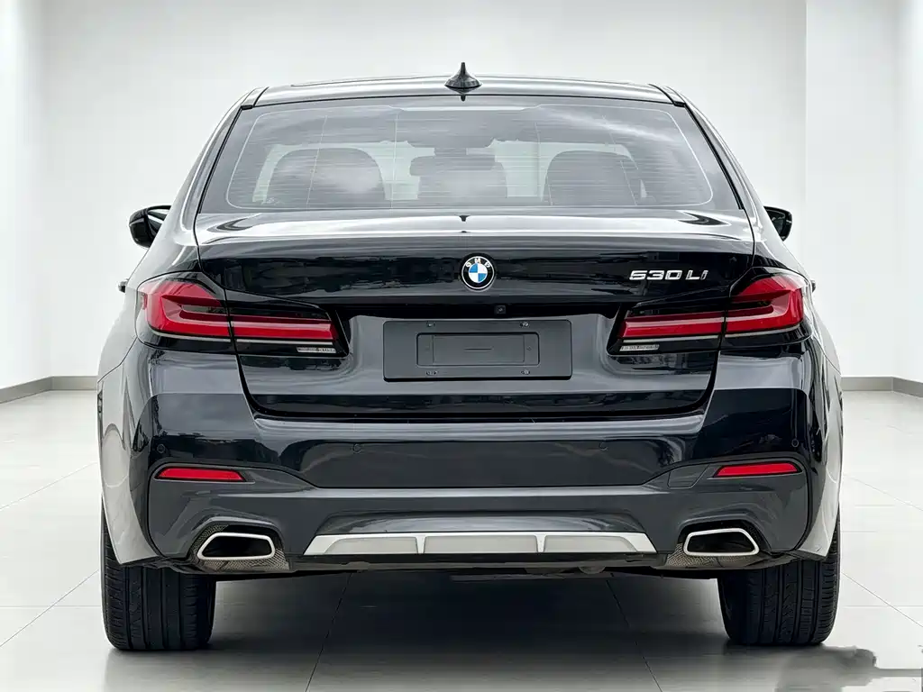 BMW 5 Series — миниатюра 7
