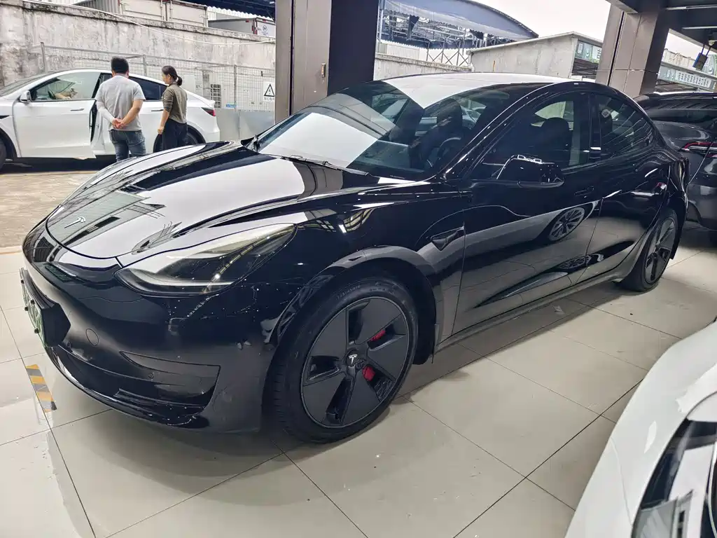 Tesla Model 3 2021