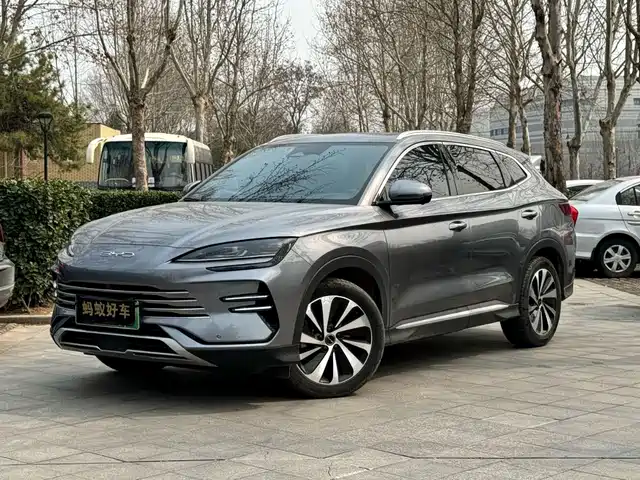 BYD SONGJIANG NEW ENERGY 2024