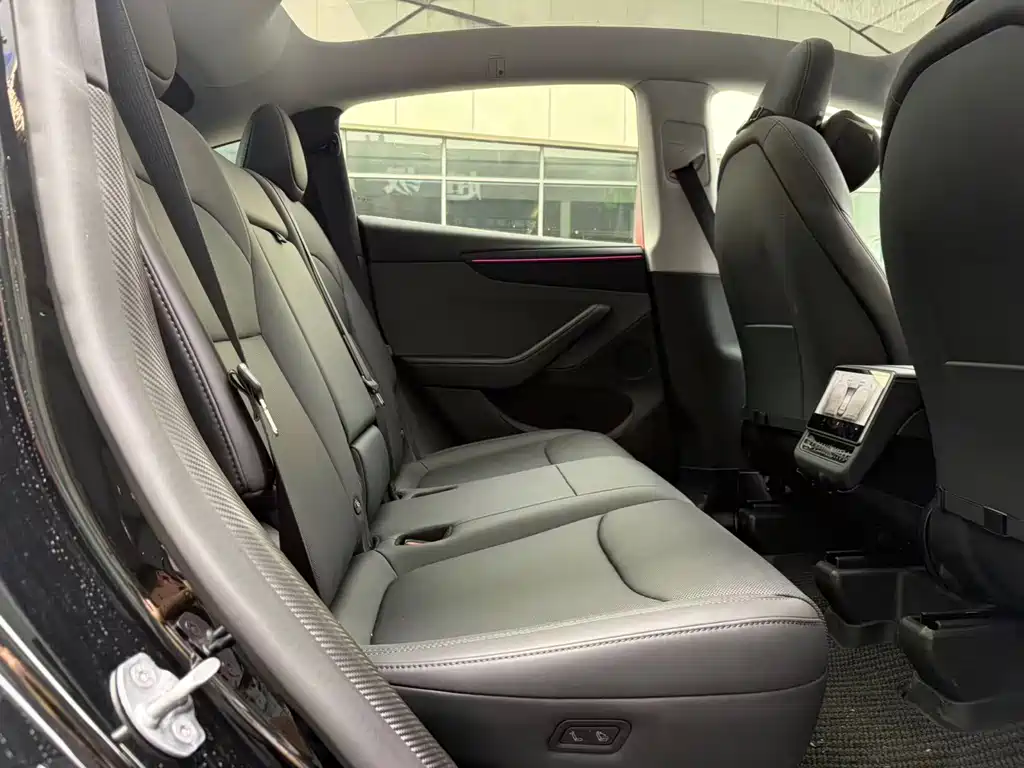 Tesla Model Y — миниатюра 6