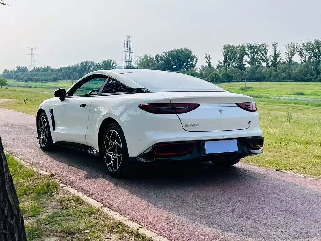 Neta Neta GT — миниатюра 5