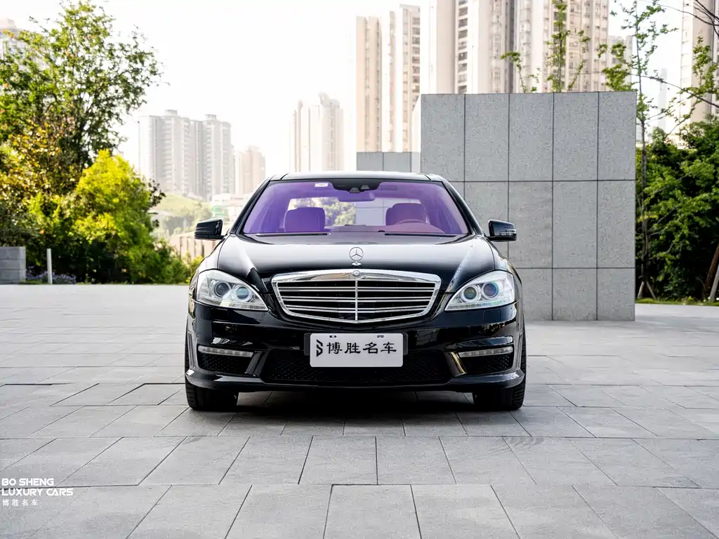Mercedes-Benz S-Class A MG S AMG 2010 AMG S 65