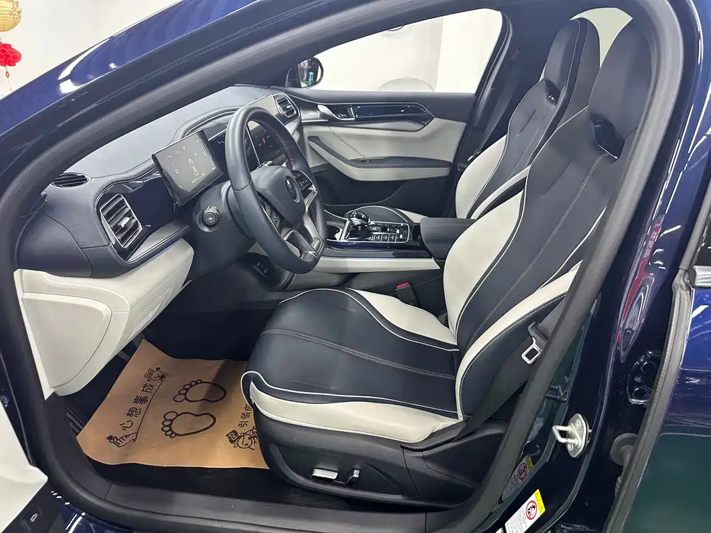 BYD Qin PLUS — миниатюра 8