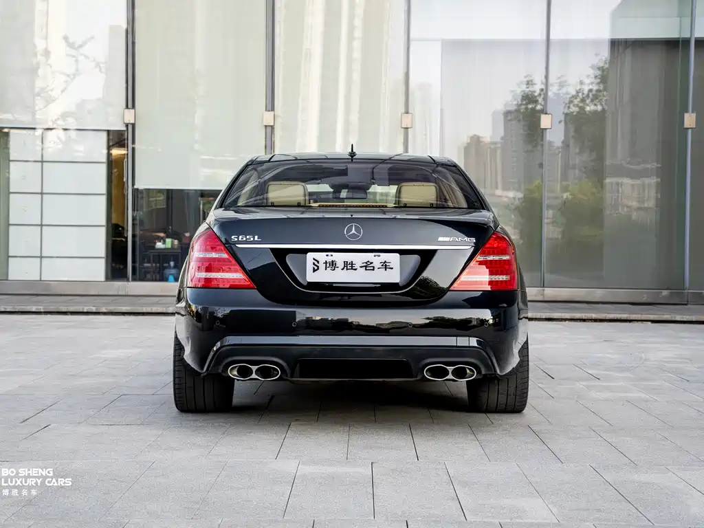 Mercedes-Benz S-Class A MG S AMG 2010 AMG S 65