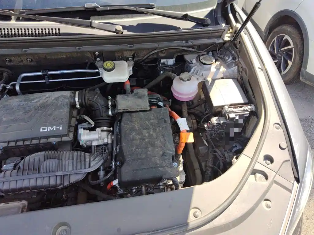 BYD Pro New Energy — миниатюра 21