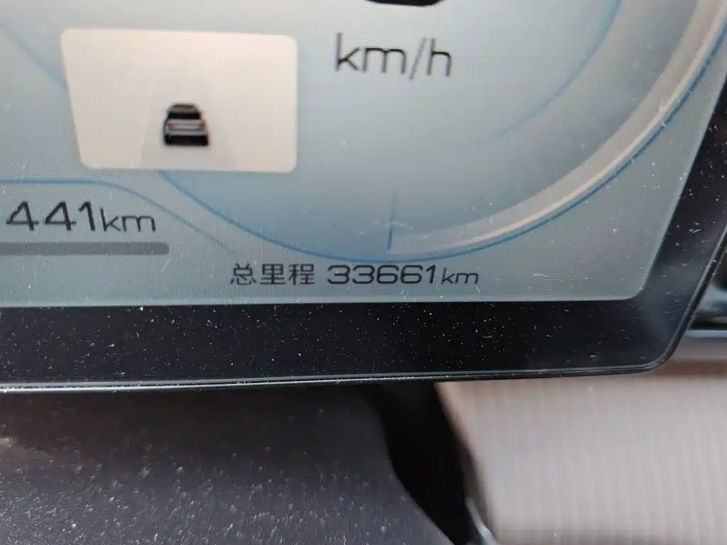BYD Pro New Energy — миниатюра 5