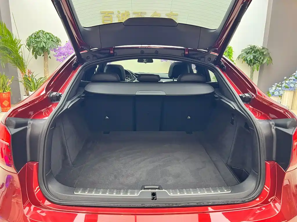 BMW X6 — миниатюра 20