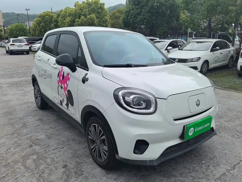 Leapmotor T03 2024 310