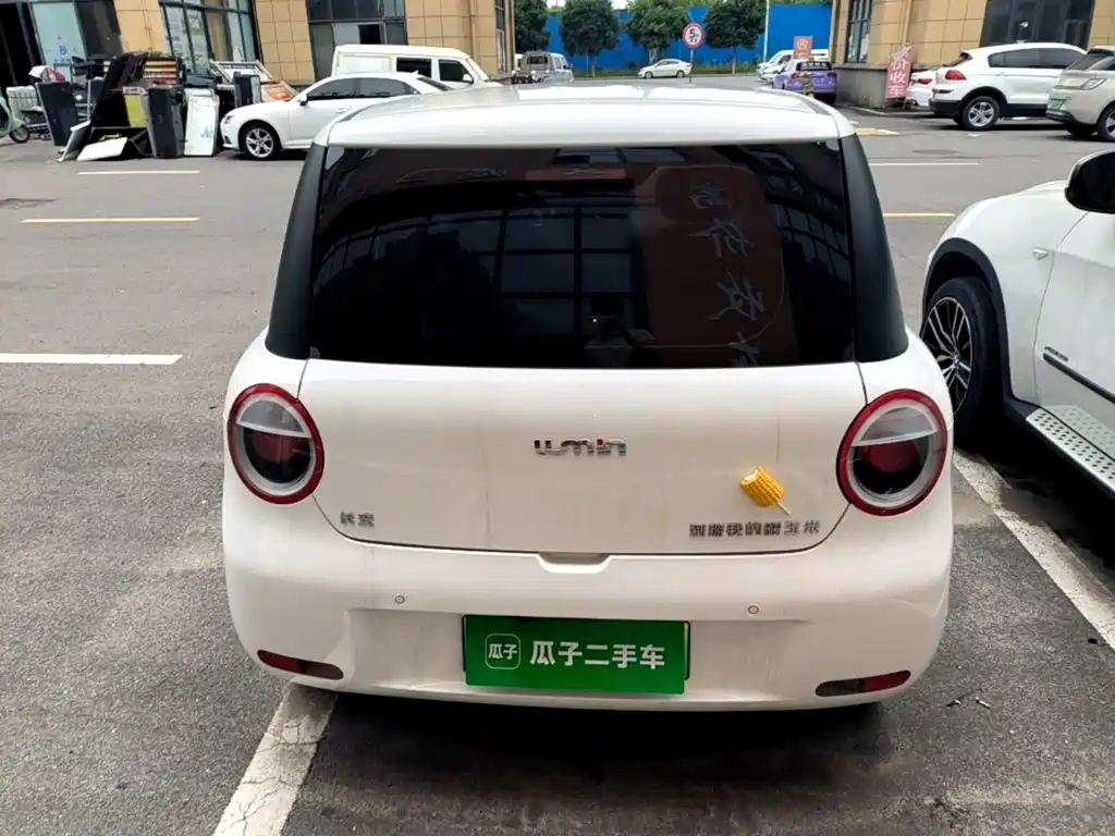 Qiyuan Lumin — миниатюра 6