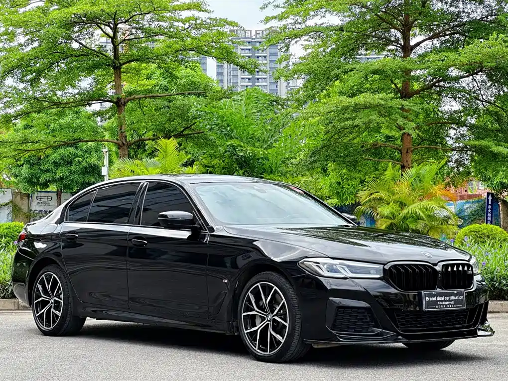 BMW 5 Series 5 2022 530Li Premium M Sport