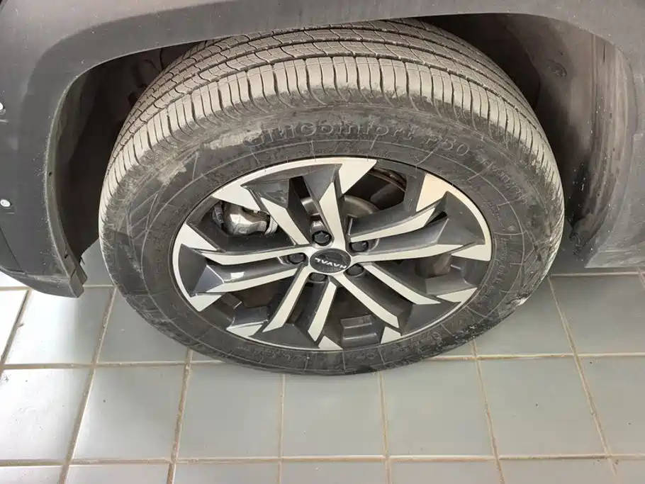Haval Big Dog PLUS — миниатюра 6