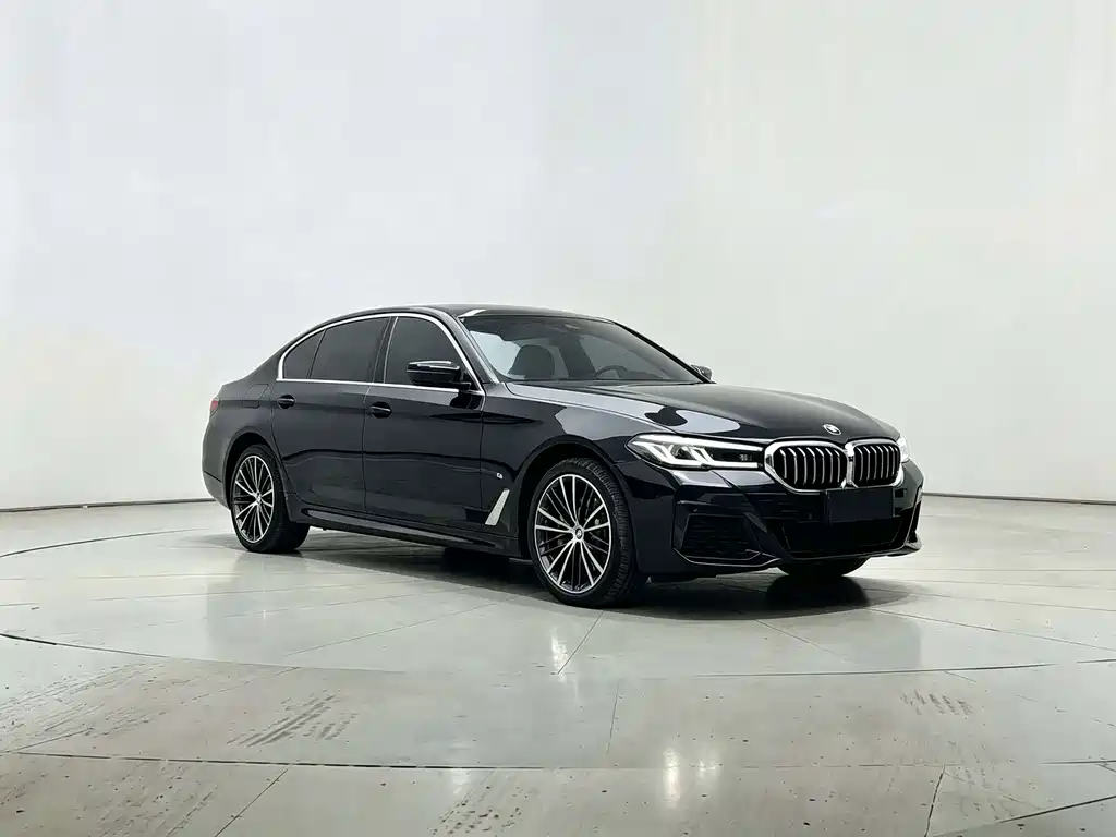 BMW 5 Series — миниатюра 3