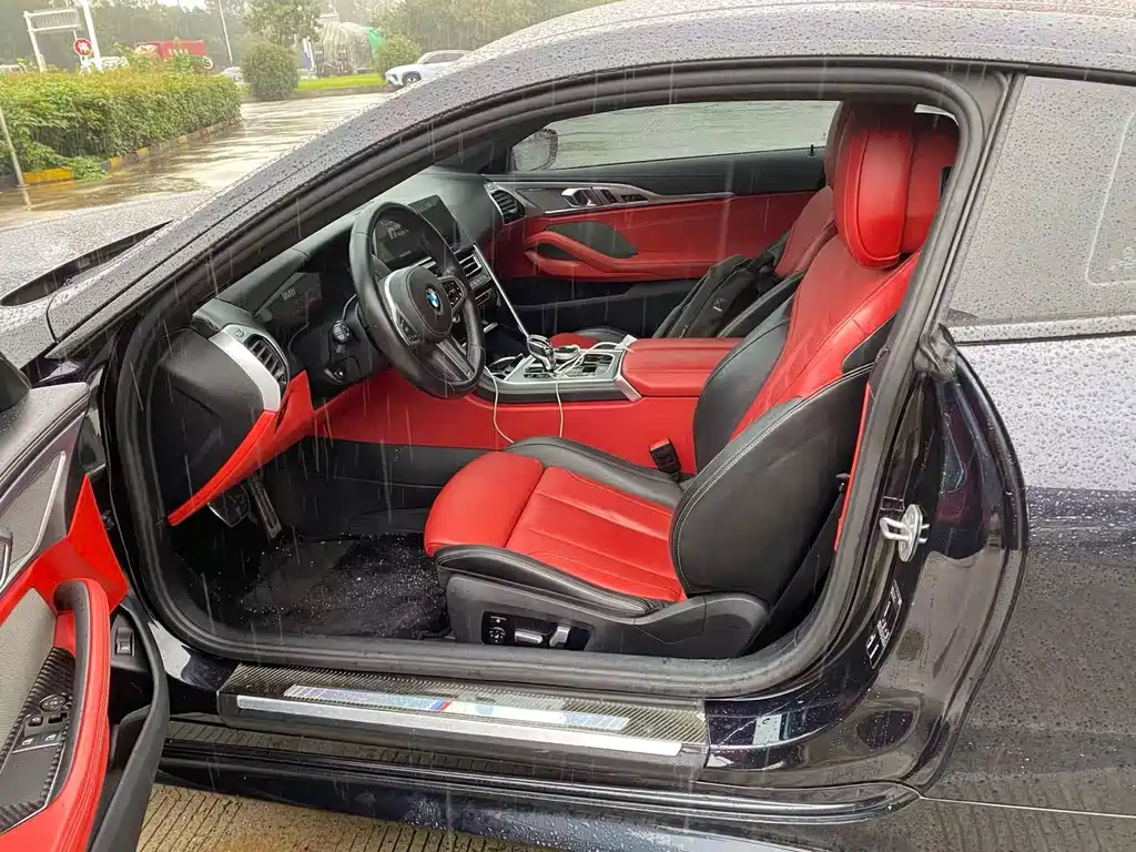 BMW 8 Series — миниатюра 7