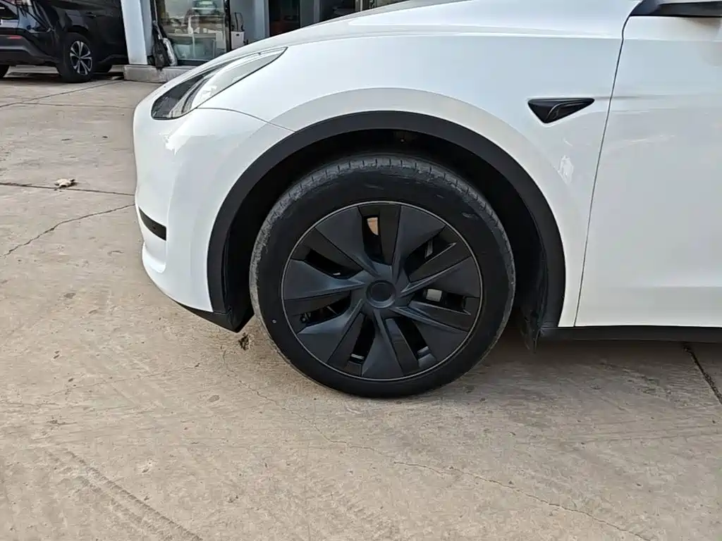 Tesla Model Y — миниатюра 23