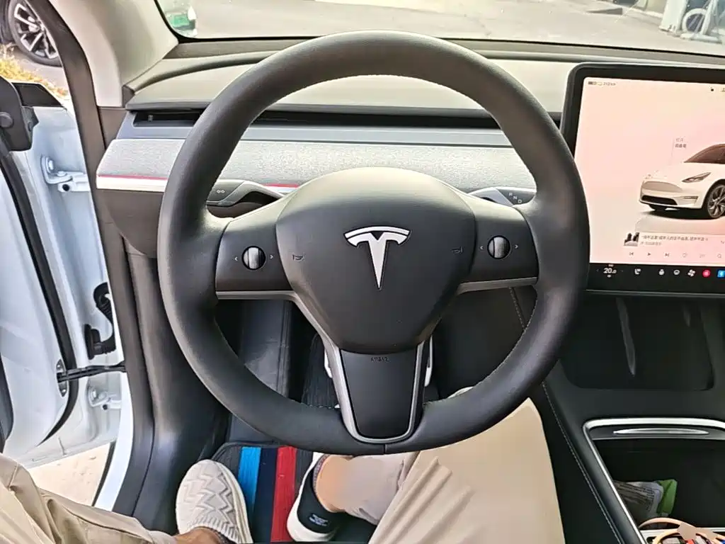 Tesla Model Y — миниатюра 11