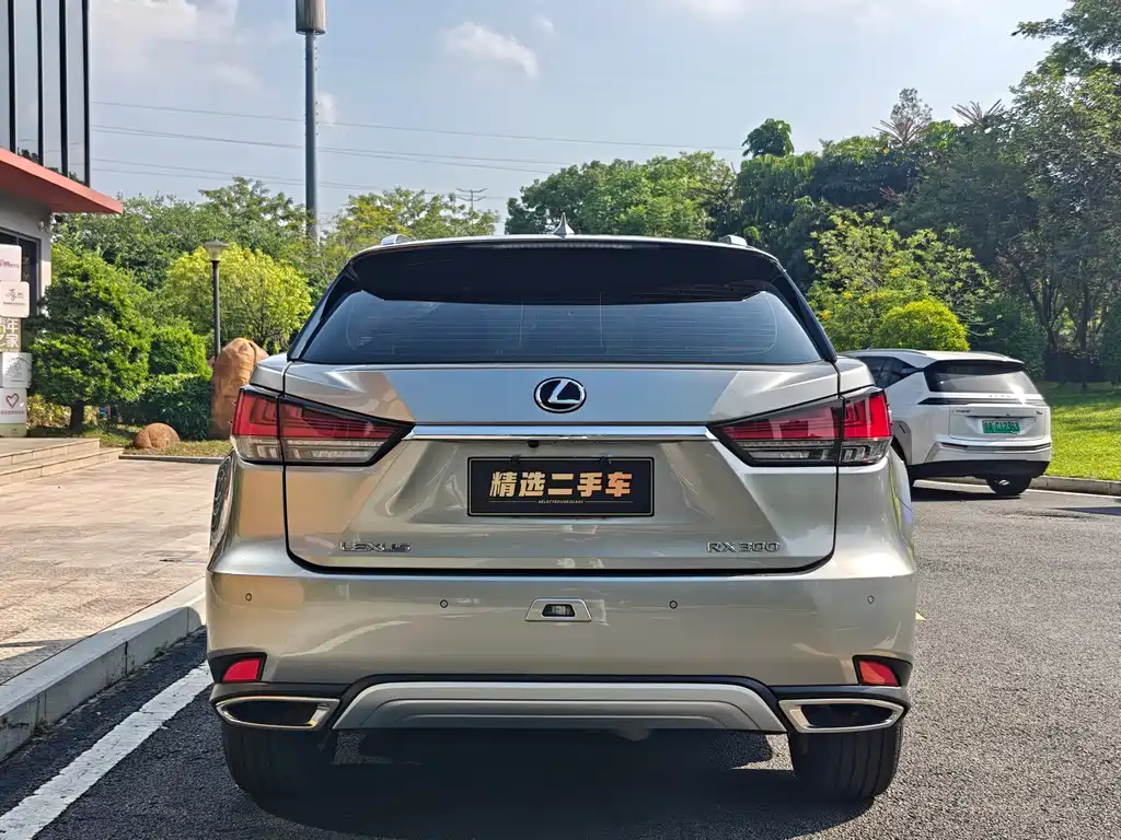 Lexus RX — миниатюра 5