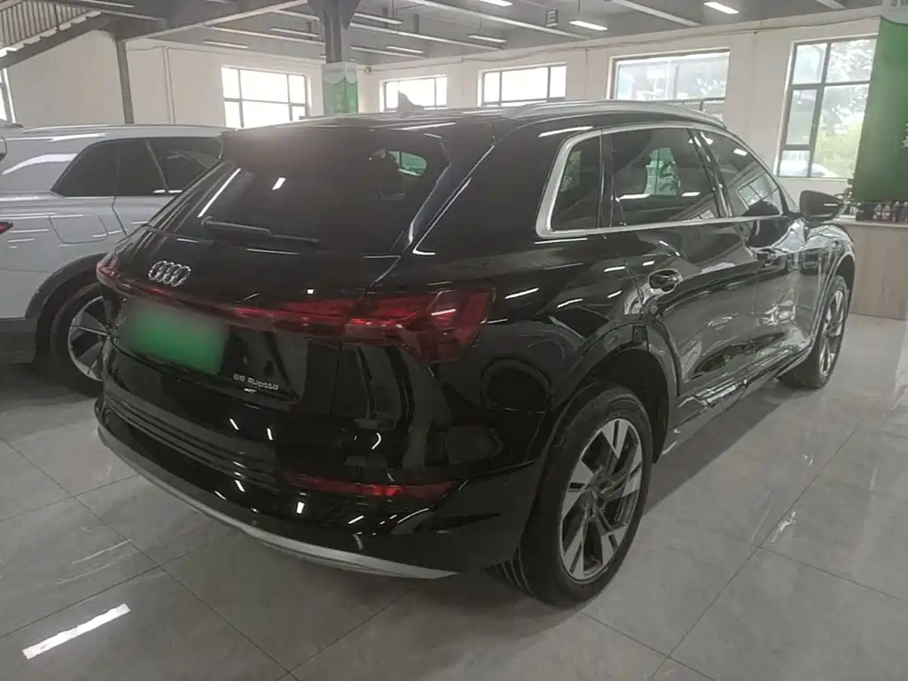Audi e-tron (Import) — миниатюра 7