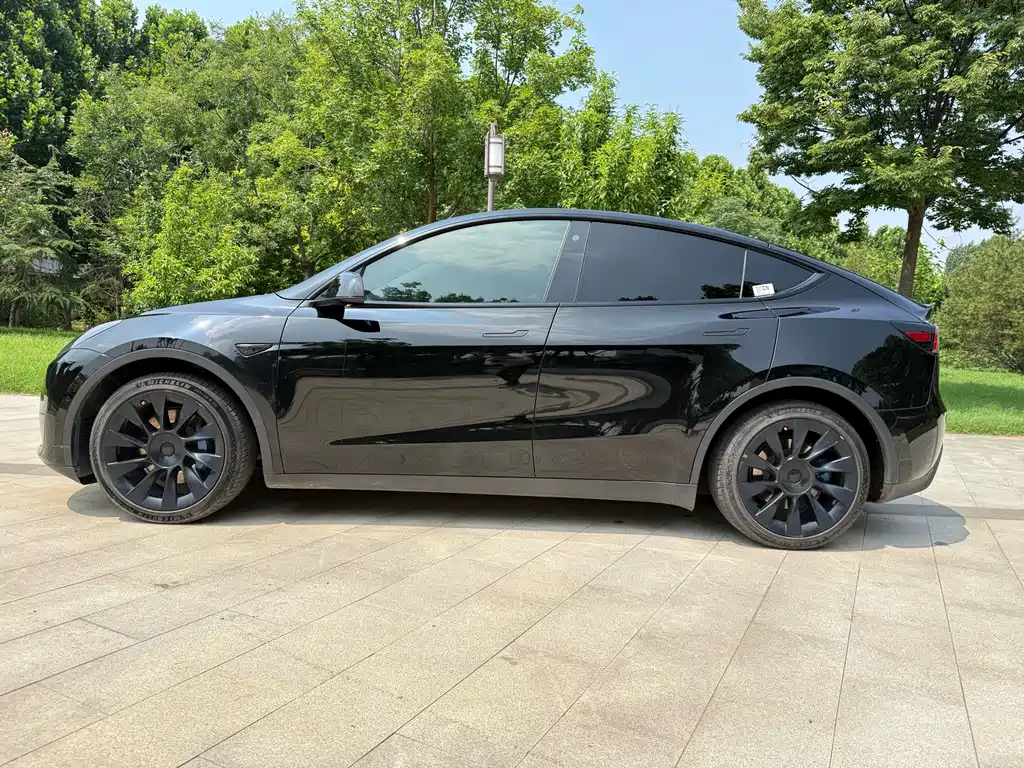 Tesla Model Y — миниатюра 5
