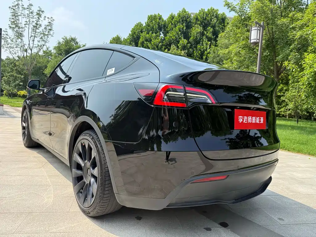 Tesla Model Y — миниатюра 6