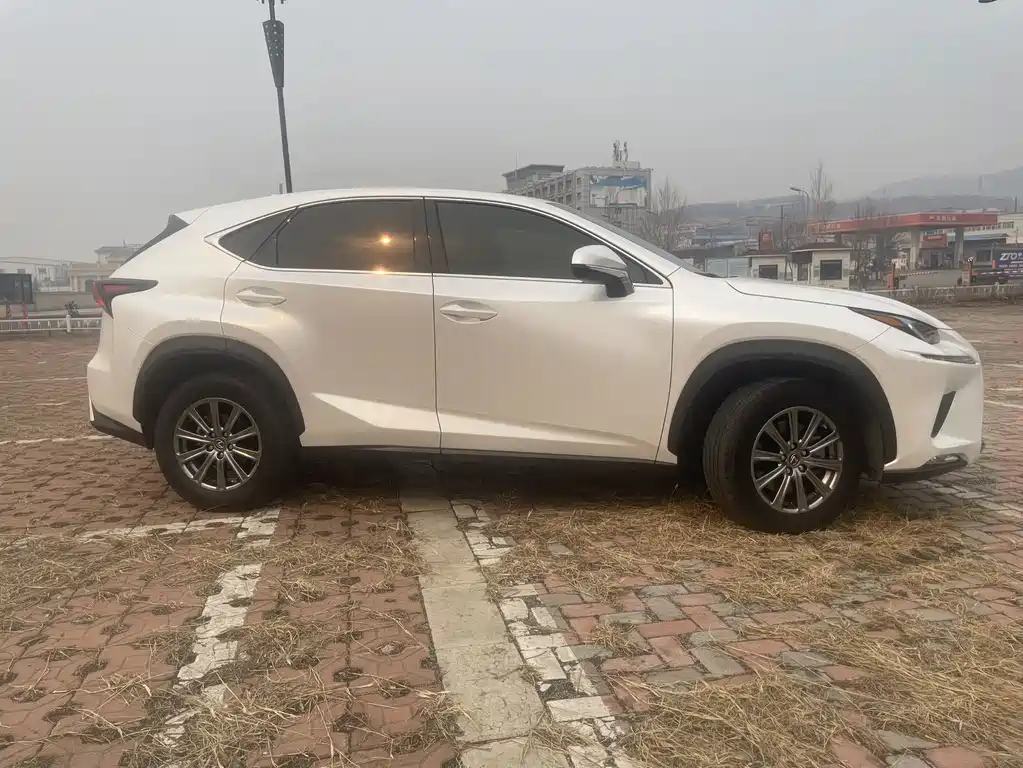 Lexus NX 200 FWD Edge Travel Edition China V, фото 4
